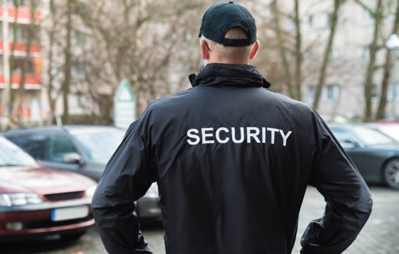 professional security